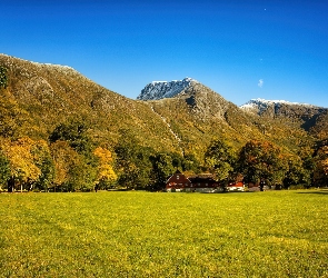 Dom, Łąka, Góry
