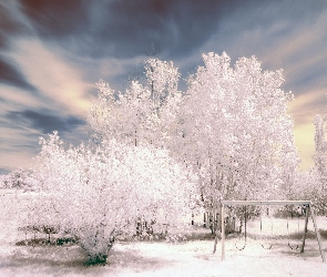 Aura, Zimowa, Śnieg, Drzewa