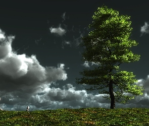 Niebo, Drzewo, Chmury