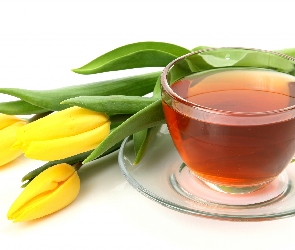 Tulipany, Herbatka, Żółte