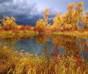 Jezioro, Drzewa, Złote, Jesień