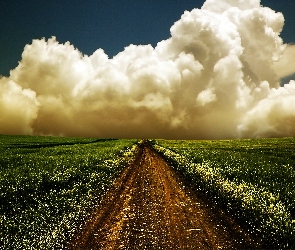 Ścieżka, Chmury, Pole