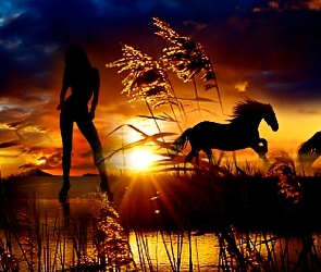 Konie, Kobieta, Słońca, Zachód