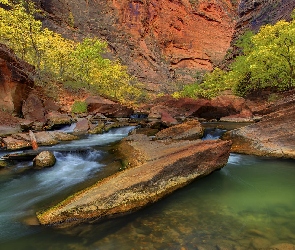 Drzewa, Skały, Stan Utah, Kanion, Rzeka Virgin River, Stany Zjednoczone, Park Narodowy Zion