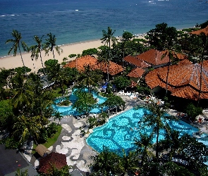 Morze, Palmy, Hotel, Basen