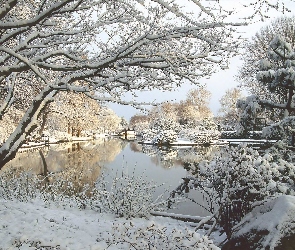 Jezioro, Zima, Drzewa, Śnieg, Ośnieżone