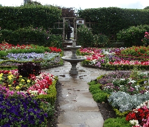 Ogród, Fontanna, Kwiaty