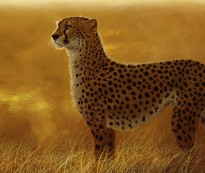 Gepard, Trawa