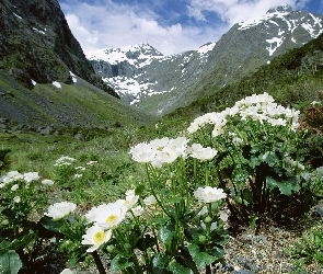 Jaskry, Fjordland National Park, Góry, Wysokogórskie