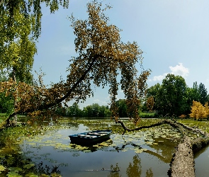 Jezioro, Jesień, Drzewa