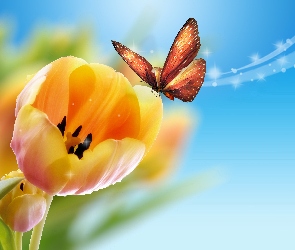 Żółte, Motyl, Tulipany