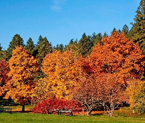 Jesień, Park