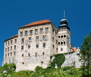 Pieskowa, Skała, Zamek