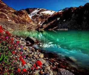 Góry, Kwiaty, Jezioro