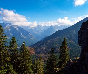 Drzewa, Chmury, Góry
