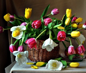 Stół, Kosz, Kolorowe, Tulipany
