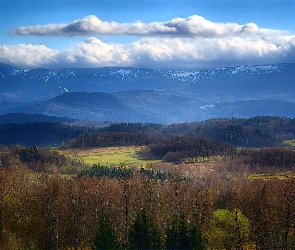 Drzewa, Las, Chmury, Góry, Szczyty, Śnieg