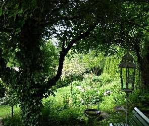 Ogród, Latarenka, Ławeczka