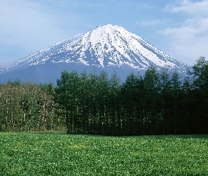 Góra, Trawa, Las, Śnieg