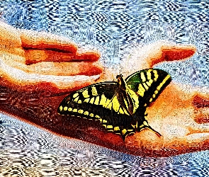 Olejny, Obraz, Dłonie, Motyl