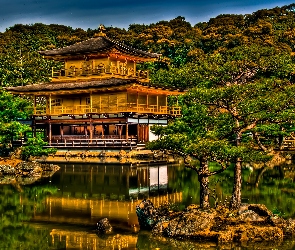 Drzewa, Japonia, Jezioro