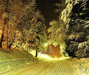 Drzewa, Śnieg, Droga