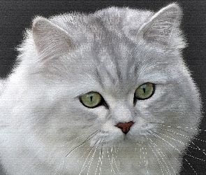 Kot, Obraz, Portret