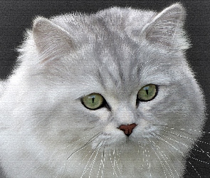 Portret, Obraz, Kot