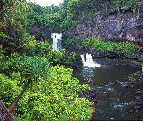 Maui, Palmy, Drzewa, Baseny, Hawaje