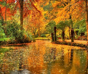 Las, Jezioro, Jesień