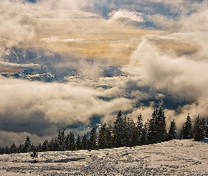 Chmury, Zima, Las