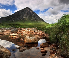 Krzewy, Strumyk, Góra, Kamienie