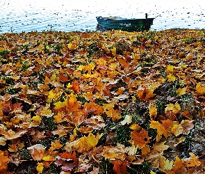 Liście, Jezioro, Łódka, Klonu, Jesień