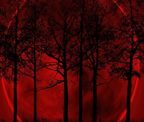 Noc, Księżyc, Czerwony, Drzewa