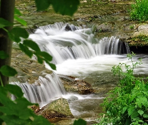 Rzeka, Liście, Kaskada