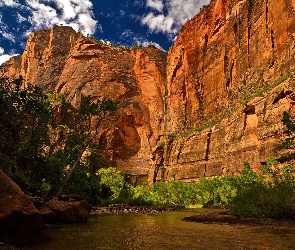 Rzeka, Skały, Utah, Stany Zjednoczone, Park Narodowy Zion, Kanion