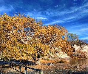 Jezioro, Wierzba, Jesień