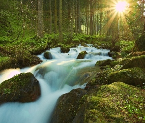 Rzeka, Promienie Słońca, Wodospad, Las