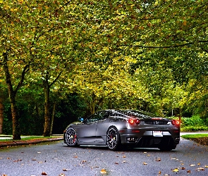 F430, Drzewa, Droga, Jesień, Ferrari