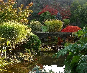 Staw, Zieleń, Mostek, Kamienny, Park