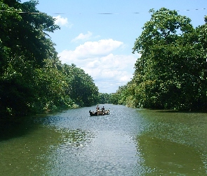 Drzewa, Kajak, Rzeka