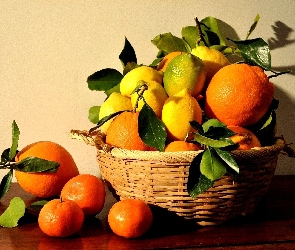 Pomarańcze, Koszyk, Cytryny