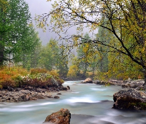Las, Kamienie, Rzeka