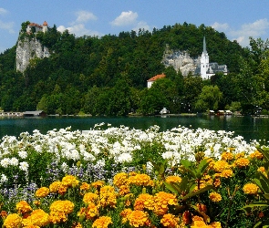 Drzewa, Kwiaty, Rzeka, Zamki