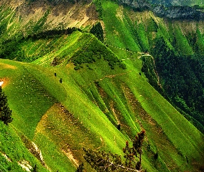 Zielone, Alpy, Góry