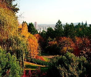 Park, Miasto, Panorama, Drzewa