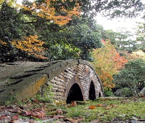Jesień, Drzewa, Park, Mostek