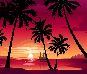 Palmy, Zachód Słońca, Jacht, Jezioro
