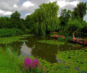 Staw, Roślinność, Park