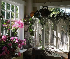 Okienka, Pelargonie, Weranda